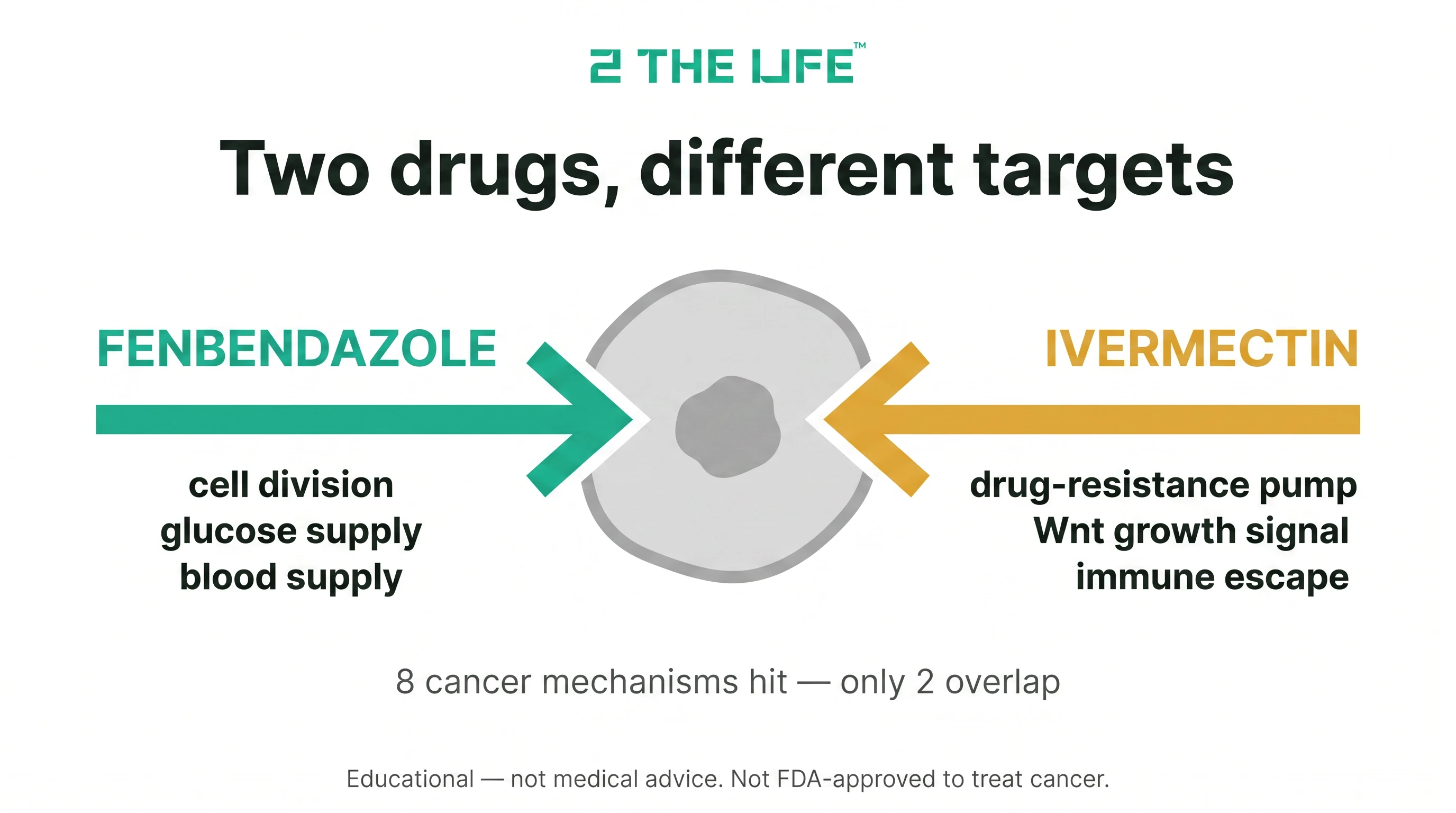 Infographic comparing how fenbendazole and ivermectin target cancer through different mechanisms — fenbendazole hits cell division, glucose supply and blood supply while ivermectin blocks the drug-resistance pump, Wnt growth signal and immune escape; 8 cancer mechanisms hit with only 2 overlapping.